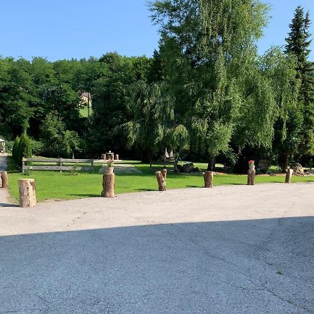 Landgasthof Steinmuehl Hofbauer Fruehstueckspension Und Campingplatz Waidhofen an der Ybbs Exterior photo